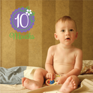 10 Month Wall Decal Buy Cheap Genuine
