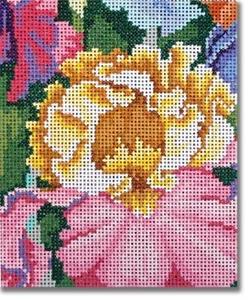 Iris Paradise - Small Buy Cheap 2025