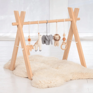 Safari Playgym Outlet Where Can You Find
