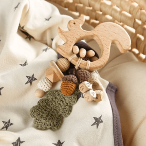 Squirrel Teether and Toy Low Pice Sale Online