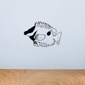 Fox Face Rabbit Fish Decal Free Shipping Huge Surprise