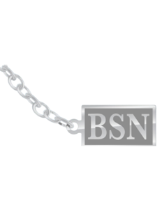 Guard for St. Anselm Jewelry Pin Free Shipping 2025 New