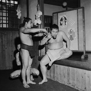 Sumo rvaci Cheapest Sale Online