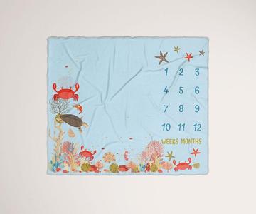 Under the Sea / Milestone Baby Blanket Tumblr Cheap Pice