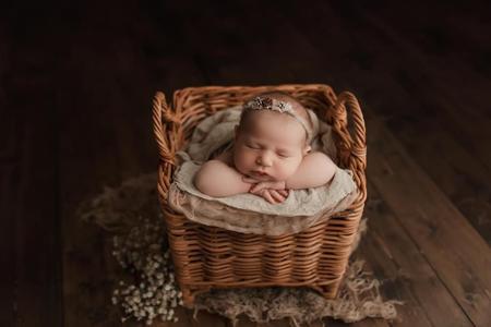 Weaver Basket Buy Cheap Discount