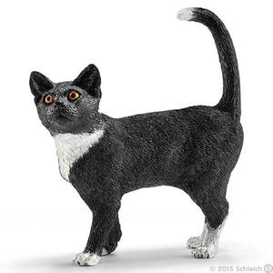 Cat, Standing Cheap Sale Inexpensive