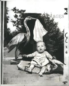 1938 Press Photo Baby Completely Brand Teething Ring - RRU06861 Outlet Geniue Stockist