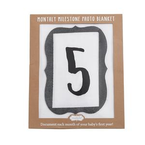 Monthly Milestone Blanket Set Very Cheap