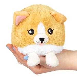 Baby Corgi Snacker Purchase Cheap Pice