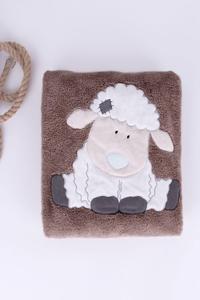 Embroidered Wellsoft Baby Blanket Clearance 2025