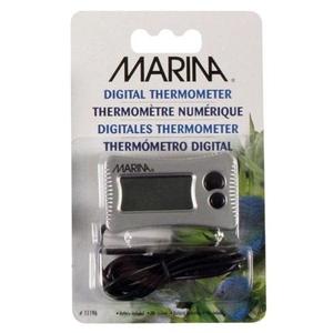 Marina Digital Thermometer Free Shipping With Credit Card