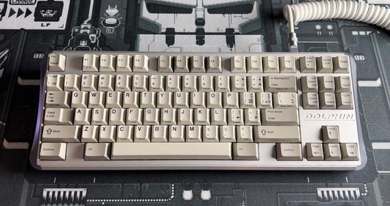 [Extra Sale] PC Dolphin 2021 Free Shipping Popular