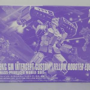 HG 1/144 Jim Inter Secret Custom (Fello Booster Equipment) Footlocker For Sale