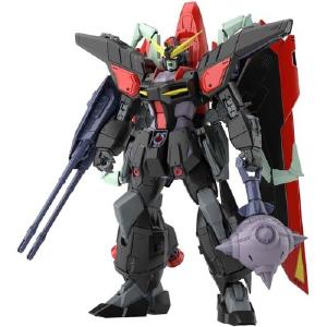 Full Mechanics 1/100 "Gundam SEED" Raider Gundam Sale Fashion