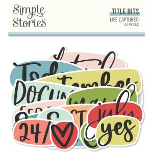 Title Bits & Pieces Life Captured Cheap Pick A Best