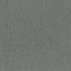 Cartulina Perlada Texturizada Tungsten Cheap Manchester