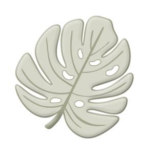 Sello de Lacre Monstera 3D Pensacola Ebay Cheap Pice