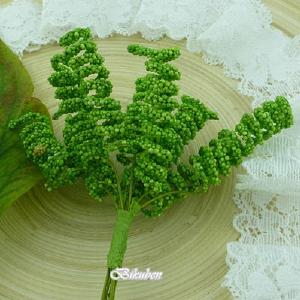 Wild Orchid - Green Spiral Stamens Free Shipping Marketable