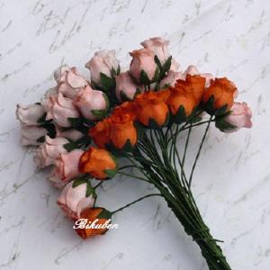 Wild Orchid - Hip Rosebuds - Mixed Peach/Orange Discount Sale Online