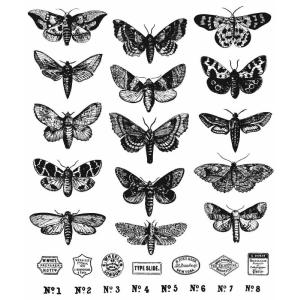 Tim Holtz Collection - Cling Stamps - Moth Study Clearance Latest