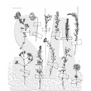 Tim Holtz Collection - Cling Stamps - Forgotten Garden Outlet Sast