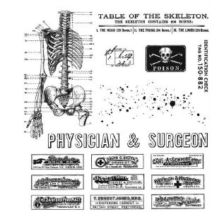 Tim Holtz Collection - Cling Stamps - Examination Clearance Online Amazon