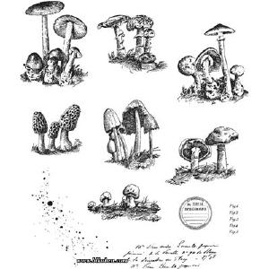 Tim Holtz Collection - Cling Stamps - Tiny Toadstools Buy Cheap Fake