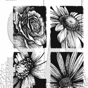 Tim Holtz Collection - Cling Stamps - Bold Botanicals Cheap Perfect