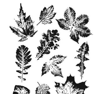 Tim Holtz Collection - Cling Stamps - Leaf Print 2 Clearance Genuine