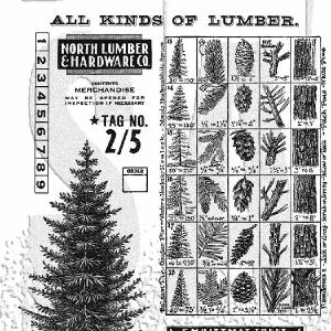 Tim Holtz Collection - Cling Stamps - Winter Woodlands Cheap Sale Popular