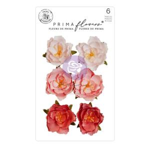 Prima - The plant department - Mulberry Paper Flowers - Rooted Cheap High Quality
