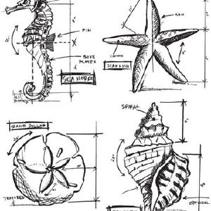 Tim Holtz Collection - Natuical Blueprint - Stamps Recommend Online