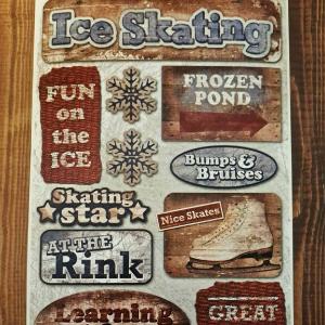 Karen Foster - Ice Skating - Stickers Sale High Quality