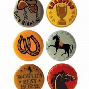 Karen Foster: Equestrian - Image Brads Sale Affordable