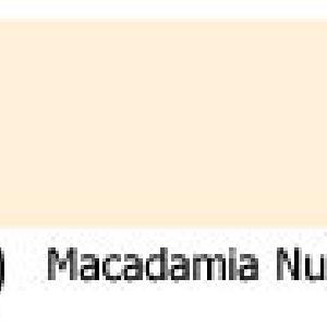 Copic Various Ink - Macadamia Nut - YR30 - Refill - 25 ml Outlet Order