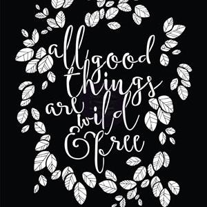 Prima - Stencil - Wild & Free  8x10" Reliable Sale Online