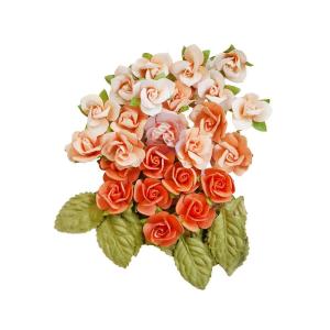Prima - Peach Tea - Paper Flowers - Sweet Peaches Free Shipping Big Sale