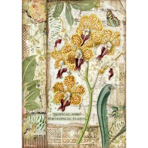 Stamperia - Amazonia - Orchid - Rice Paper A4 Outlet Affordable