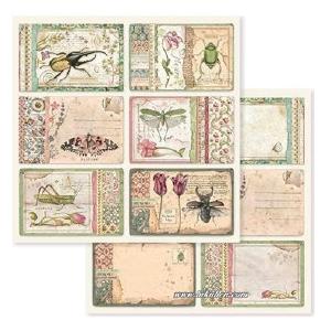 Stamperia - Spring Botanic - Cards   12 x 12" Free Shipping Low Pice Fee Shipping