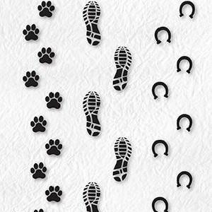 Nellie Snellen  - Clearstamp - Footprints 100% Authentic Sale Online