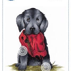 Whimsy Stamps - Cling mount - Bad Doggy 2025 Newest Cheap Online