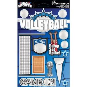 Reminisce - Real Sports - 3D Stickers - Volleyball Sale Authentic