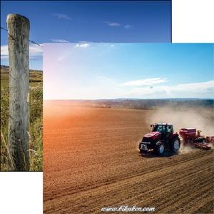 Reminisce - In the field - Field Work     12 x 12" Low Shipping Cheap Pice