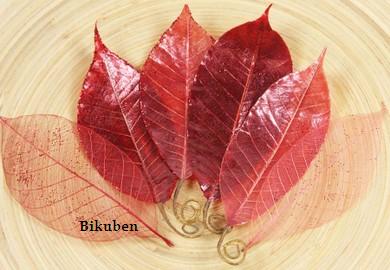 Prima: Temple Leaves - Dang Red Eastbay Cheap Online