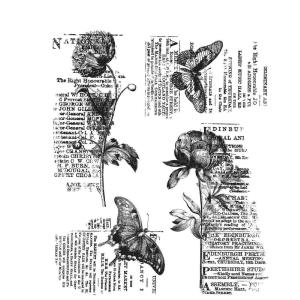 Tim Holtz Collection - Cling Stamps - Botanic elements Discount Many Kinds Of