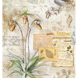 Ciao Bella - Sign of the times - Botanical - Rice Paper A4 Free Shipping Huge Surprise