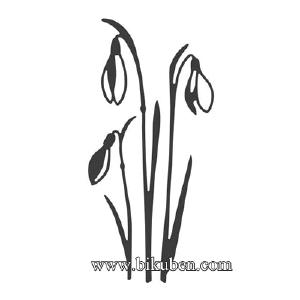 Alexandra Renke - Dies - Snowdrop Flowers Outlet Huge Surprise