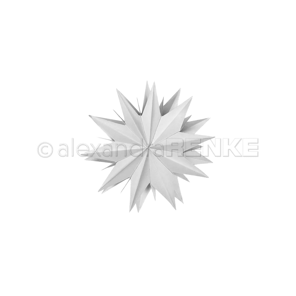 Alexandra Renke - Dies - Star segment Basic - medium Outlet 2025