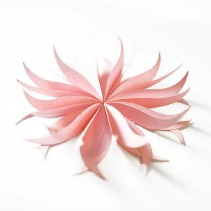 Alexandra Renke - Dies - Folded flower 4 Free Shipping Limited Edition