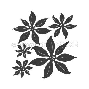 Alexandra Renke - Dies - Poinsettias Cheap Online Store Manchester